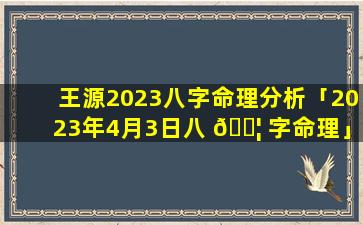 王源2023八字命理分析「2023年4月3日八 🐦 字命理」